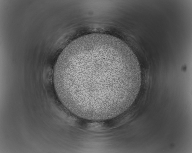 X0000116620511200912312141