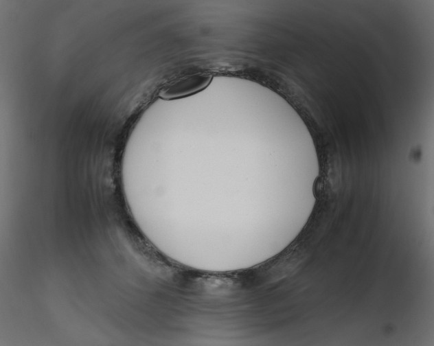 X0000116620512200912312141