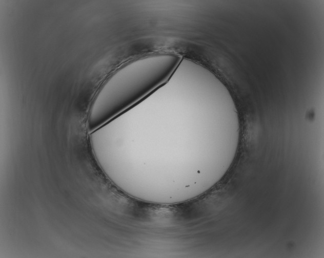 X0000116620513200912312141