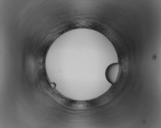 X0000116620514200912312141