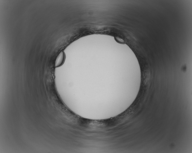 X0000116620515200912312141