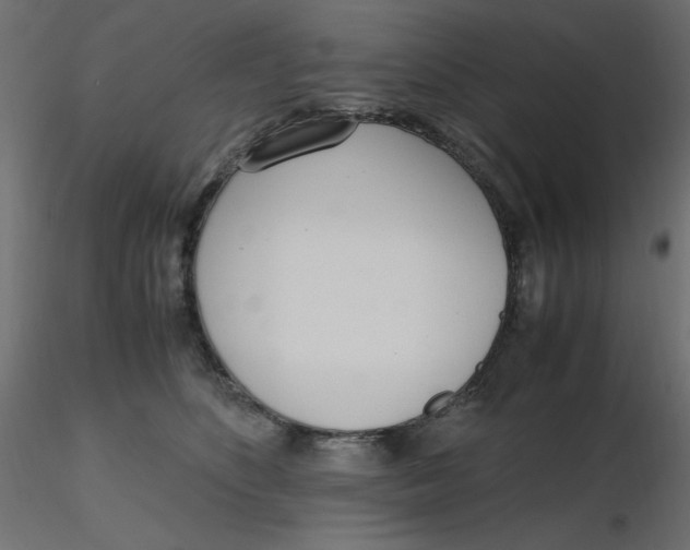 X0000116620516200912312141