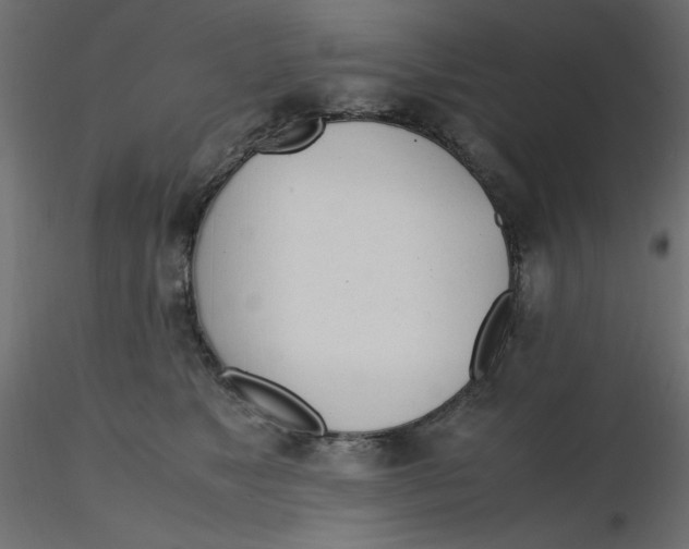 X0000116620517200912312141