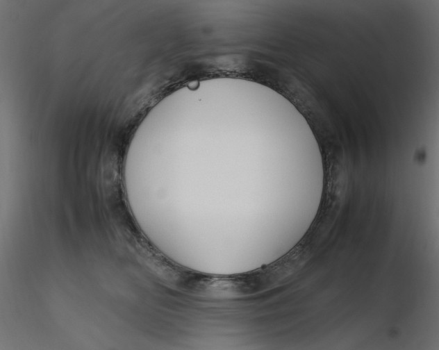 X0000116620518200912312141