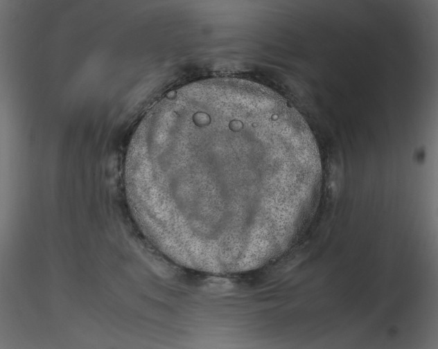 X0000116620519200912312141