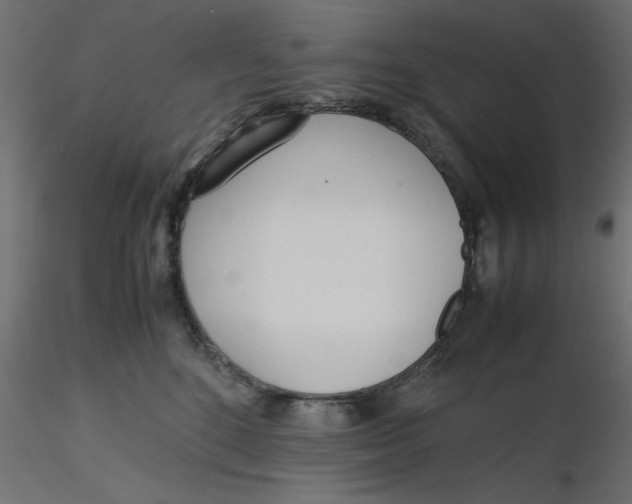 X0000116620520200912312141