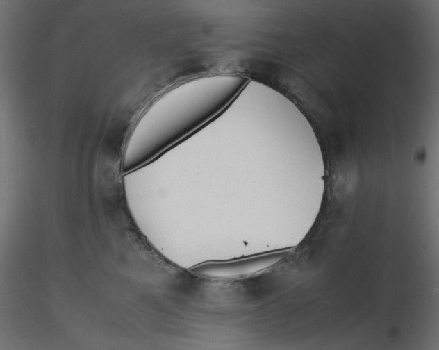 X0000116620521200912312141