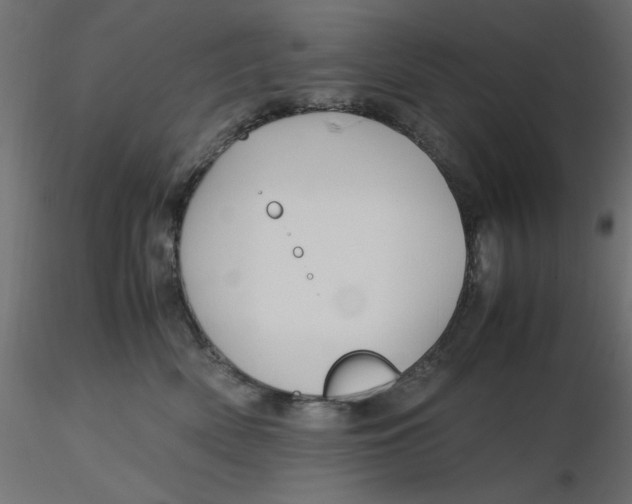 X0000116620522200912312141