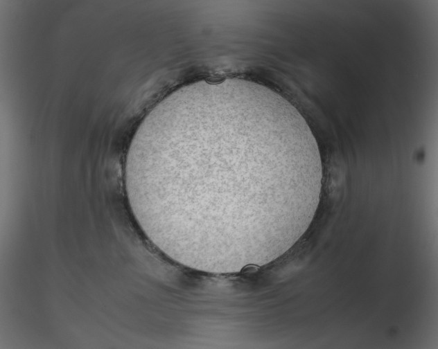 X0000116620523200912312141