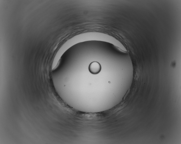 X0000116620524200912312141