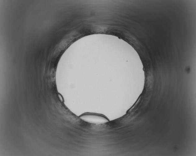 X0000116620525200912312141