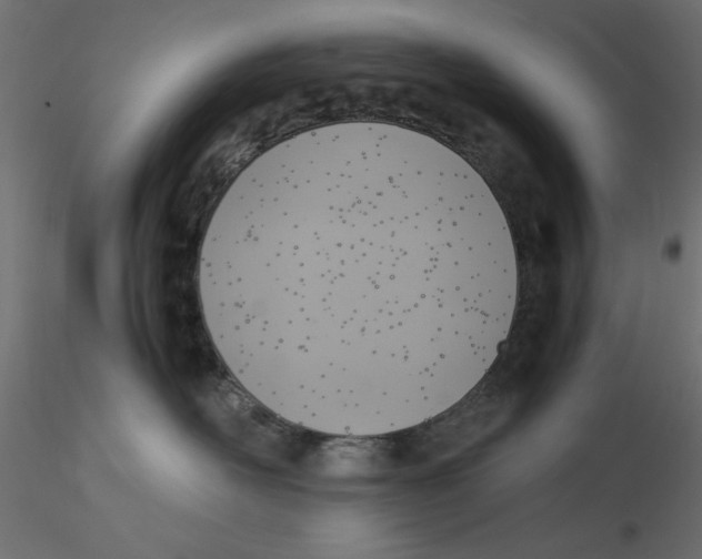 X0000116620526200912312141