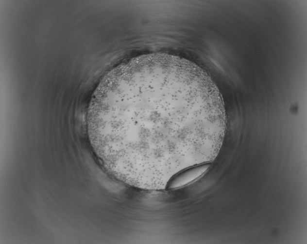 X0000116620527200912312141