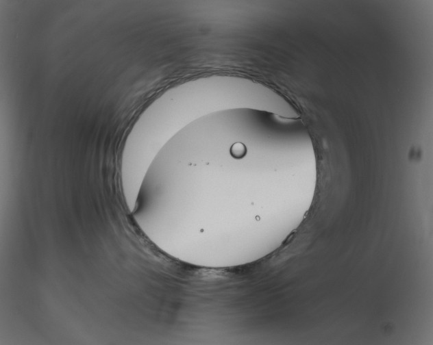 X0000116620528200912312141