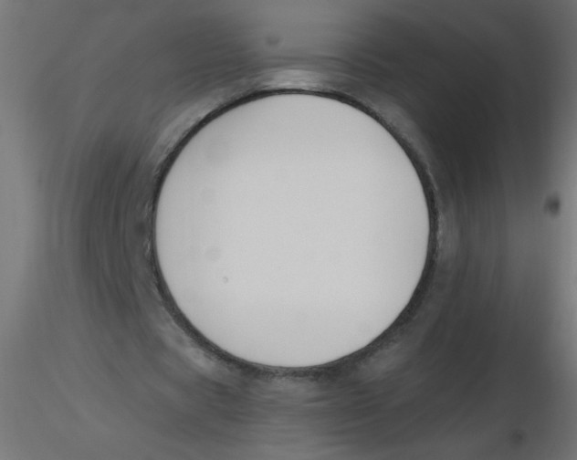 X0000116620529200912312141