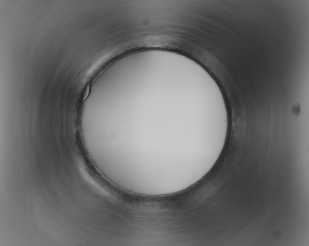 X0000116620530200912312141