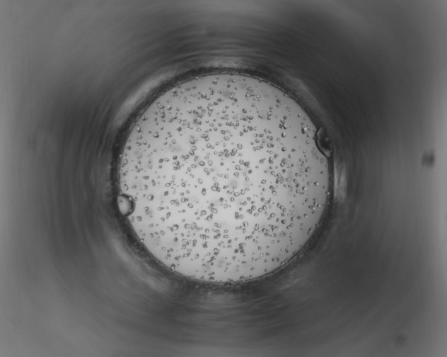 X0000116620531200912312141