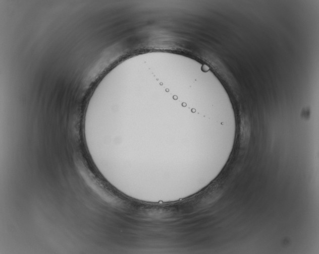 X0000116620533200912312141