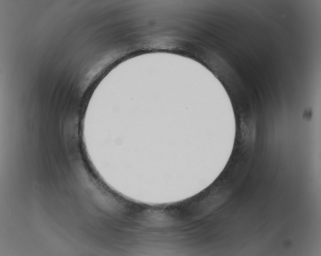 X0000116620534200912312141