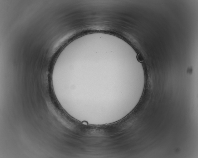 X0000116620535200912312141