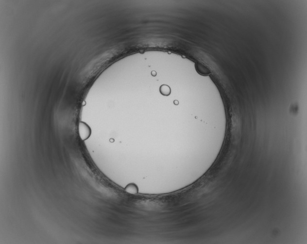 X0000116620537200912312141