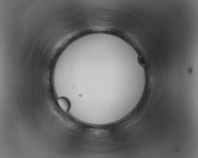 X0000116620539200912312141