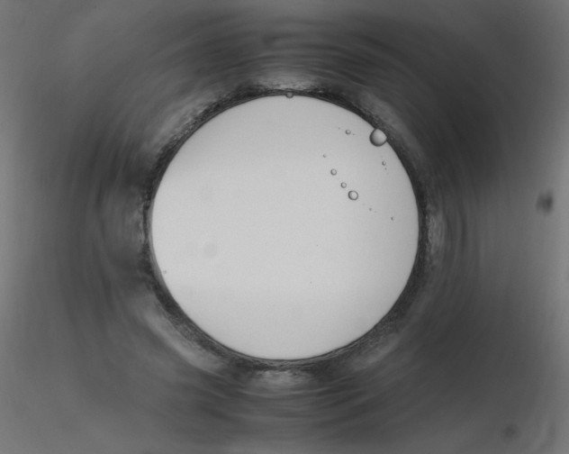 X0000116620541200912312141