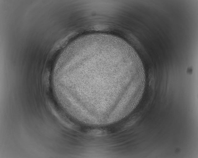 X0000116620542200912312141