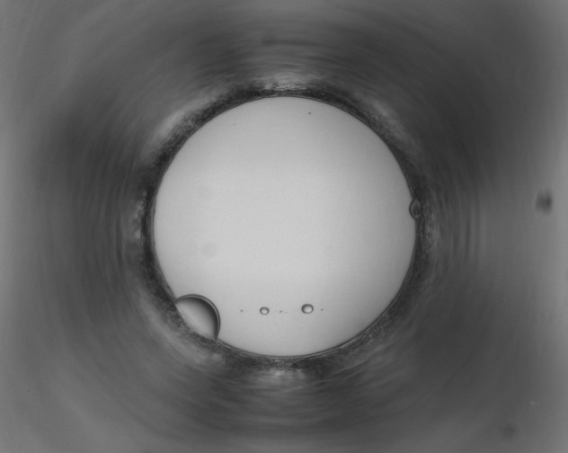 X0000116620543200912312141