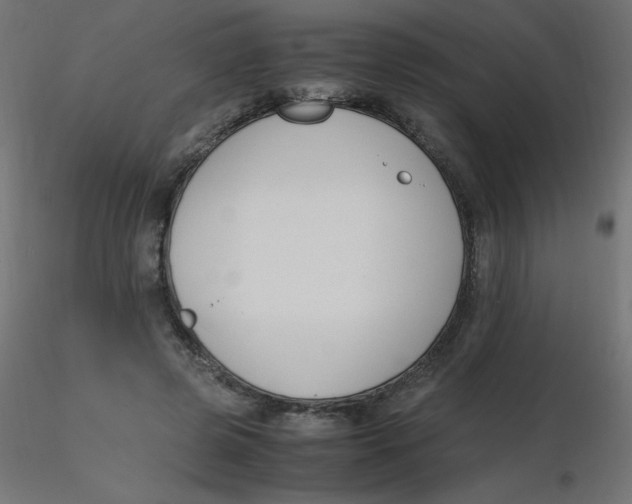 X0000116620545200912312141