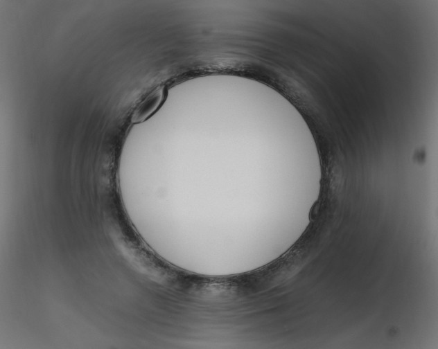 X0000116620546200912312141