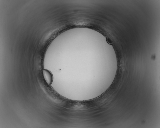 X0000116620547200912312141