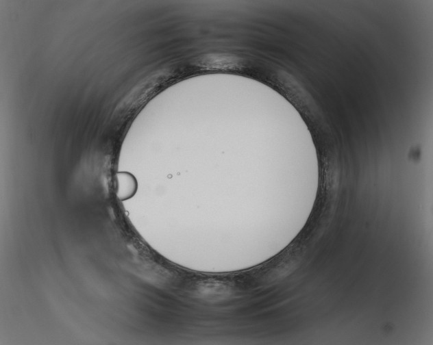 X0000116620549200912312141