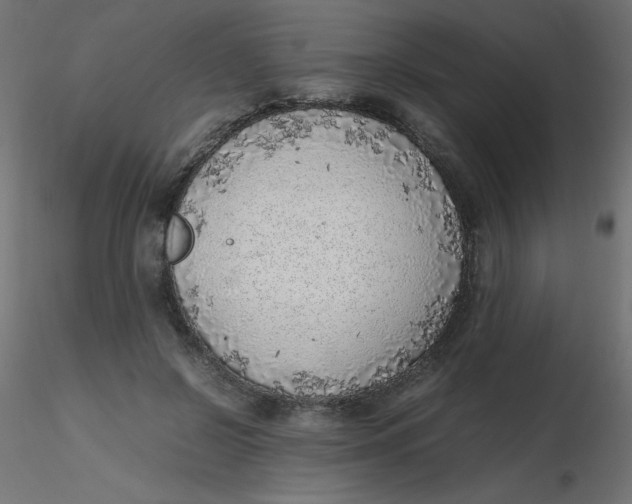 X0000116620550200912312141