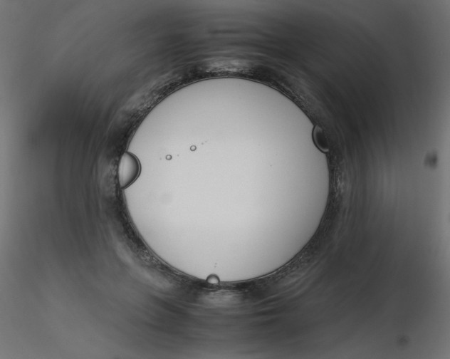 X0000116620551200912312141