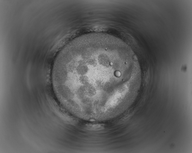 X0000116620553200912312141