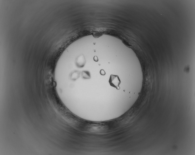 X0000116620555200912312141