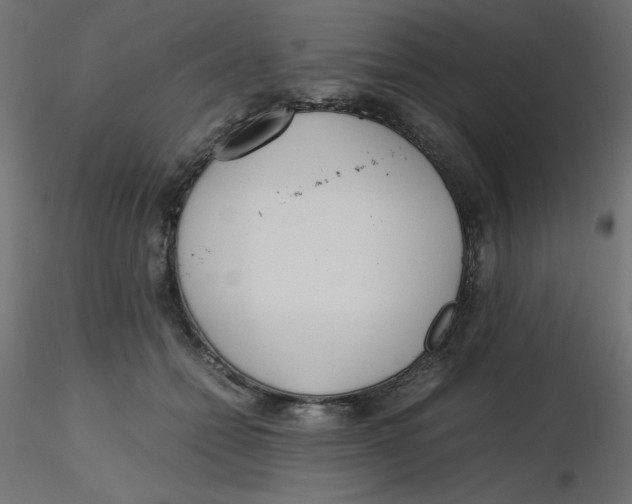 X0000116620558200912312141