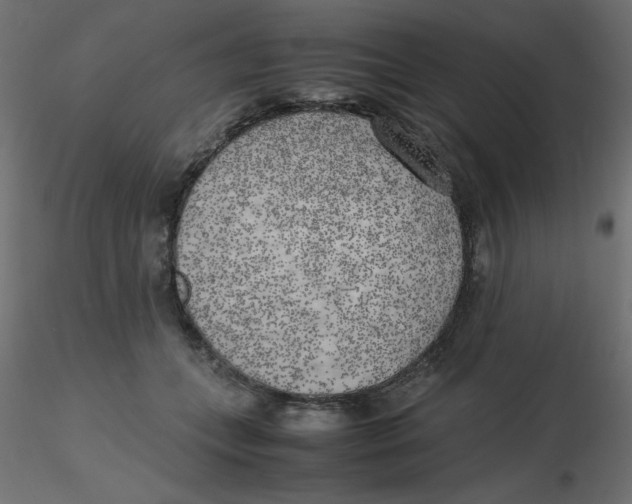 X0000116620559200912312141