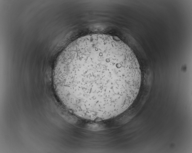 X0000116620561200912312141