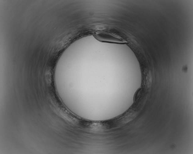 X0000116620562200912312141