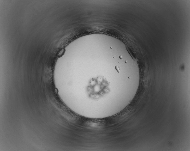 X0000116620563200912312141