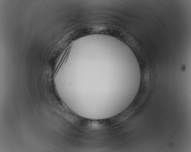 X0000116620565200912312141