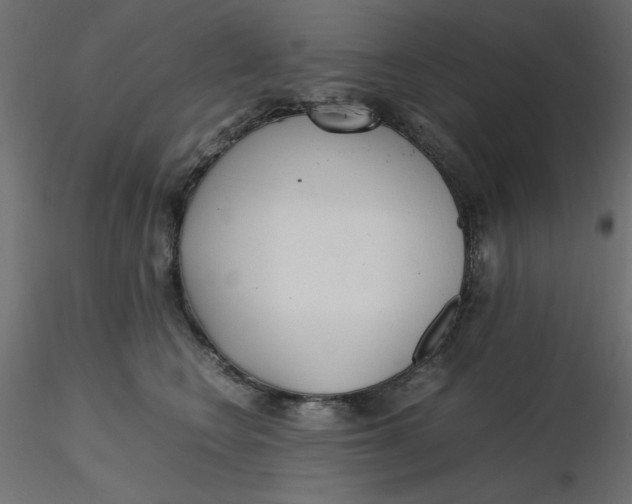 X0000116620566200912312141