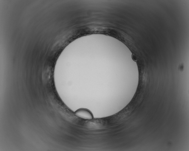 X0000116620567200912312141