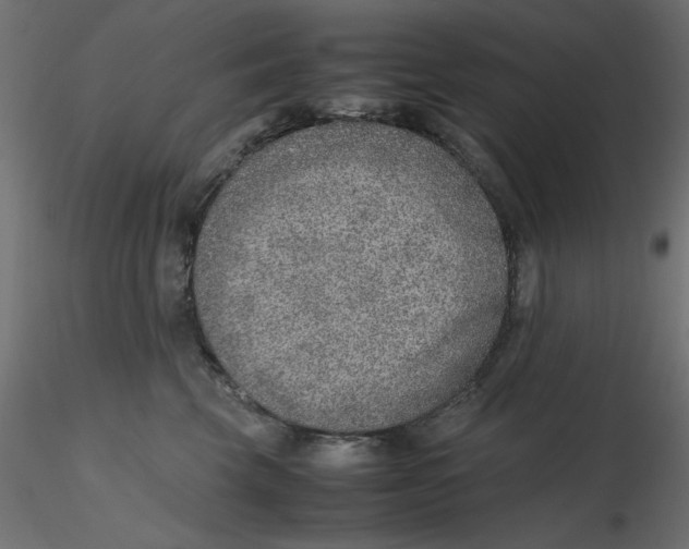 X0000116620569200912312141