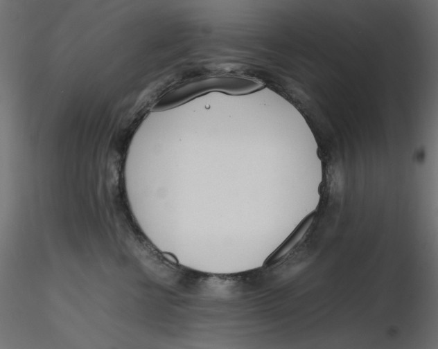 X0000116620570200912312141