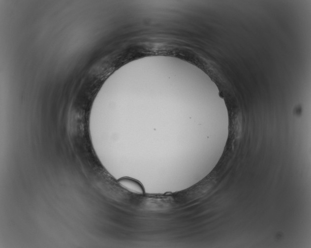 X0000116620571200912312141