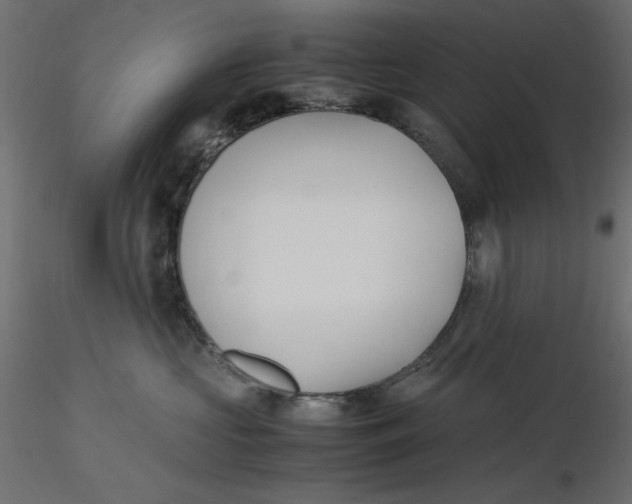 X0000116620573200912312141