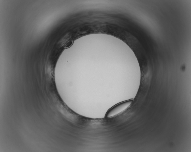 X0000116620574200912312141